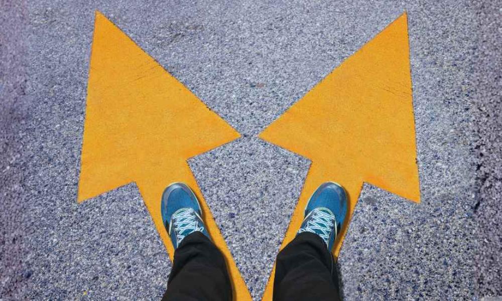 Sådan vælger I den rigtige stivelse Sådan vælger I den rigtige stivelse